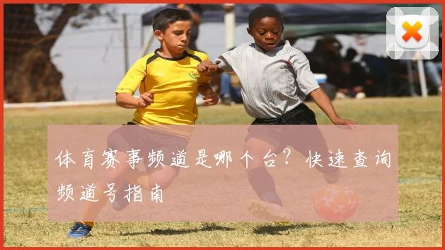 体育赛事频道是哪个台?快速查询频道号指南